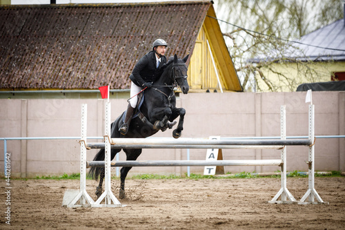 portrait of black mare horse and adult man rider jumping during equestrian showjumping competition in daytime in spring