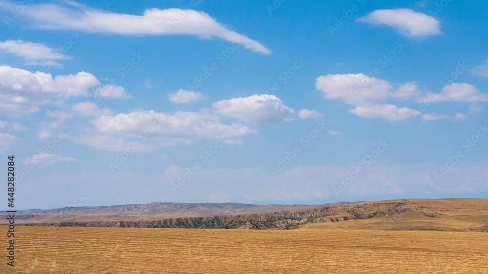 Naklejka premium landscape with clouds