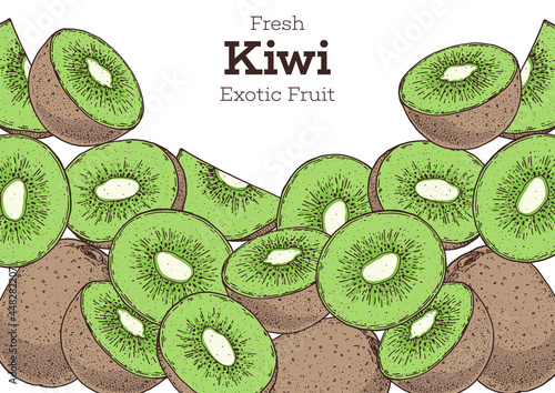 Kiwi fruit hand drawn frame. Colorful. Vector illustration. Design, package, brochure illustration. Hand drawn kiwi fruits design template. Organic fresh food vector illustration.