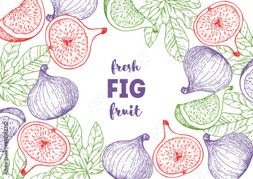 Fig fruit hand drawn package design. Vector illustration. Design, package, brochure illustration. Packaging design. Hand drawn fig fruits design template. Organic fresh food vector illustration.