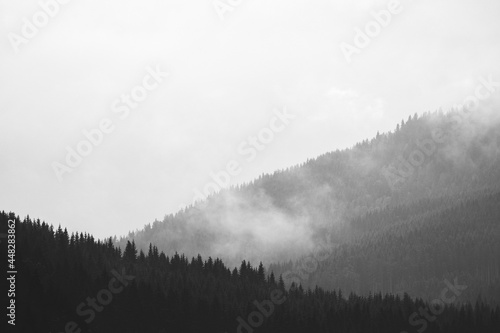 Mist after rain in the Totenåsen Hills, Norway.