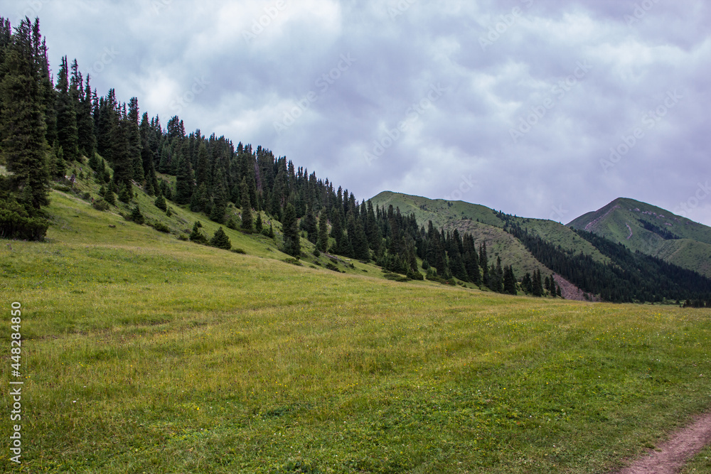 Beautiful Summer landscape: blue cloudy sky, green hills, distant mountains, coniferous trees and hiking paths