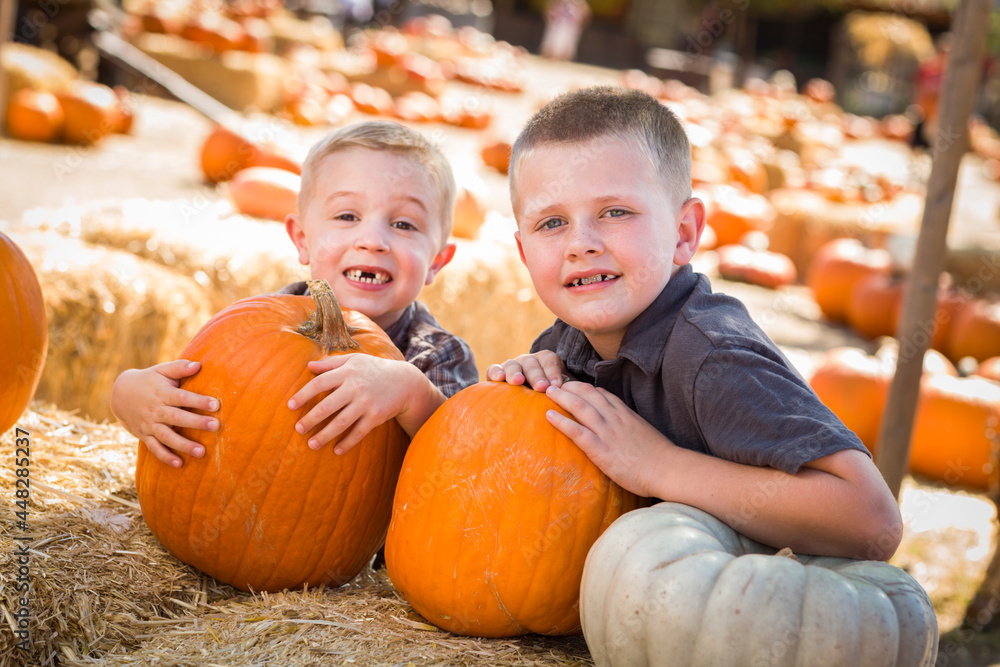 Fototapeta premium Two Boys Having Fun at the Pumpkin Patch on a Fall Day...