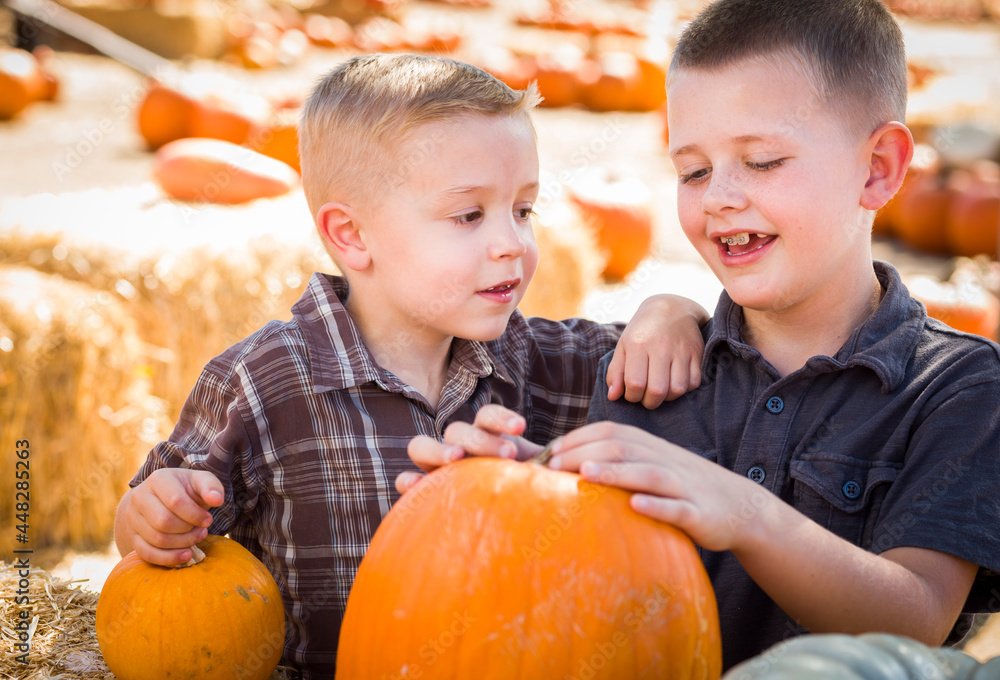 Fototapeta premium Two Boys Having Fun at the Pumpkin Patch on a Fall Day...