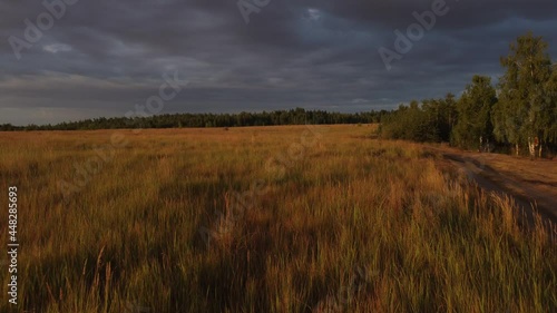 Aerial view field forest sunrise Konduki