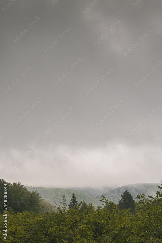 Regenwolke in den Bergen im Wald