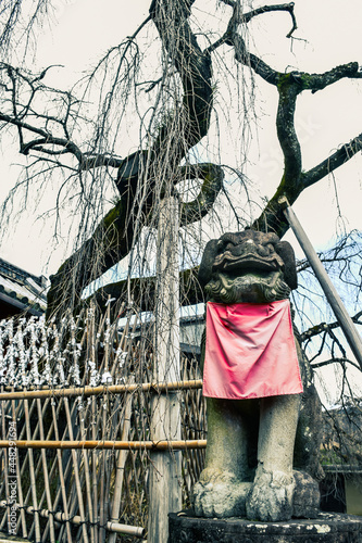Japanese shrine guardian dog-lion or also known as komainu stone sculpture front of a shrine in Nara,  Japan
