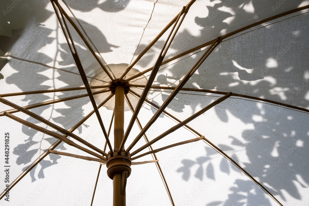 Obraz premium Background of natural bamboo cotton umbrella sunlight outdoor garden home architecture of design decoration