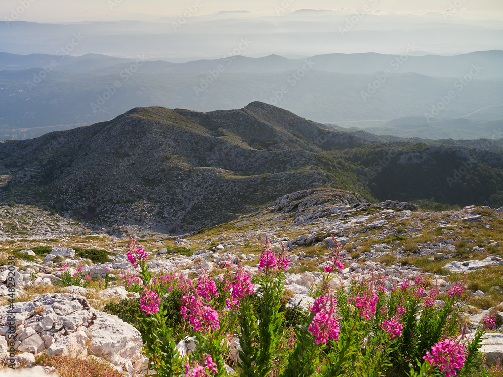 Biokovo mountain range. View from the top of Sveti Jure. Panorama of the Dinaric mountains in the morning. Beautiful mountain and rocky landscape. Biokovo mountain range. View from the top of Sveti Jure. Panorama of the Dinaric mountains in the morning. Beautiful mountain and rocky landscape.