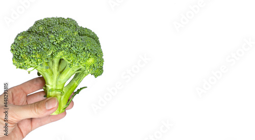 roccoli in hand close-up isolated on white background in the form of a banner