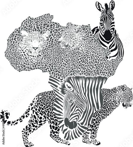 Background with a map of Africa with a leopard and zebra motif