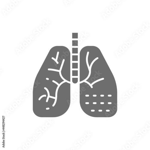 Lung disease gray icon. Isolated on white background