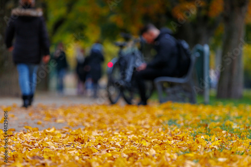 Canvas Print Selective focus of yellow orange leaves in Autumn fallen on the sidewalk in the park with blurred activity, Blur people's walking and sitting on the chair, Vondelpark, Amsterdam, Netherlands