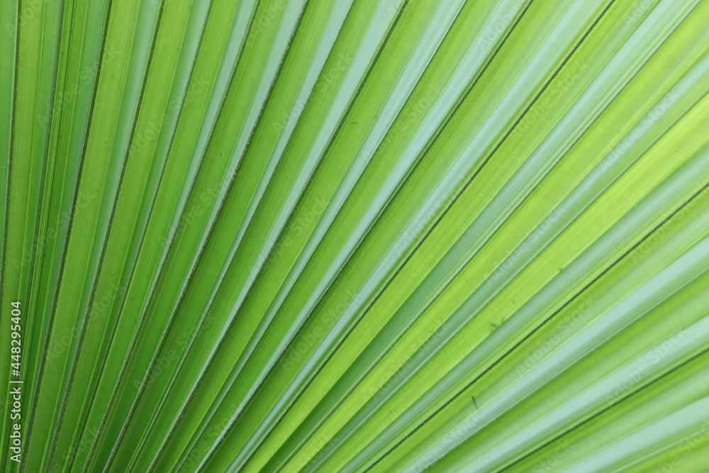Back ground Back ground