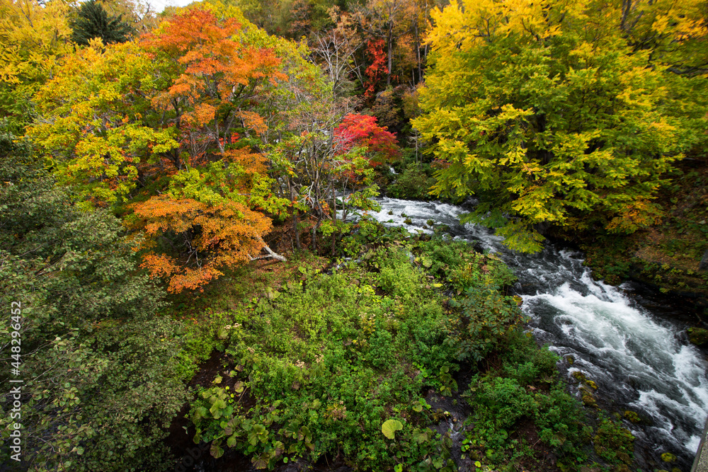 Beautiful autumnal scenery of the Akan River seen from Takimi Bridge, a tourist destination in Hokkaido, Japan