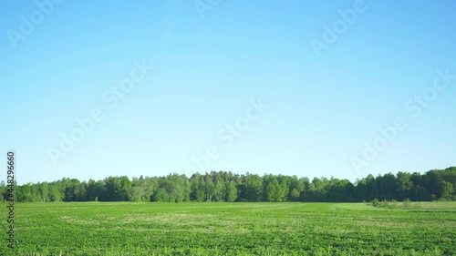 View of green field on the side of the road from car window. Beautiful nature by side view, green grass, blue sky and a lot of trees background. Going on a road trip concept