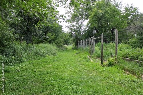 A wide path thru the meadow garden.