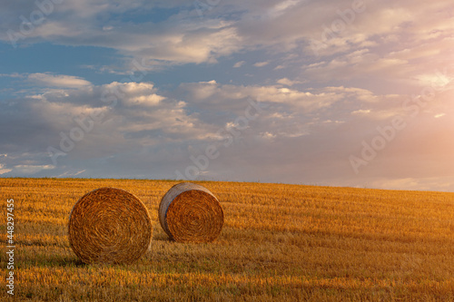 Hay ball in a wide rural landscape during the sunset