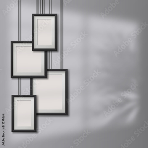 Pictures, photo frames on transparen background with soft overlay shadows from window and plants outside.