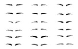 Set of eyebrows shape.  Eyebrow silhouette for women. Classic type and different thickness of brows. 