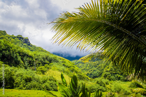Tahiti beautiful green tropical mountains  rainforests  scenery  landscapes  Tahiti  French Polynesia  Pacific islands