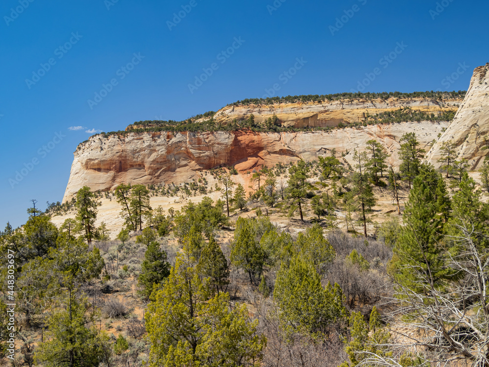 Sunny view of some landscape in Zion Ntaional Park