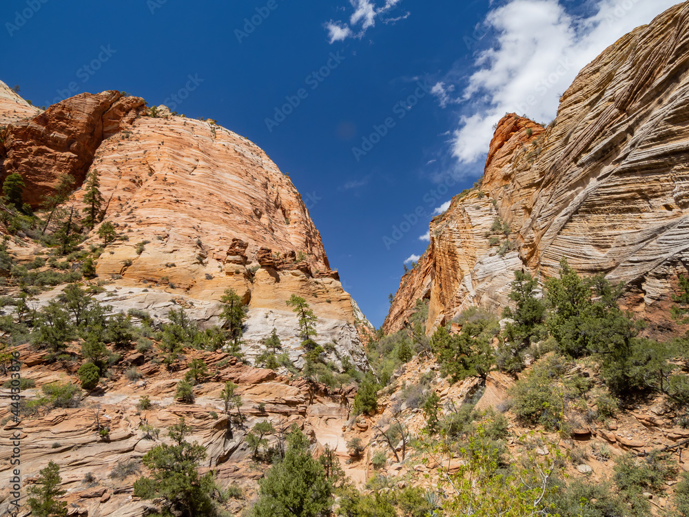Sunny view of some landscape in Zion Ntaional Park