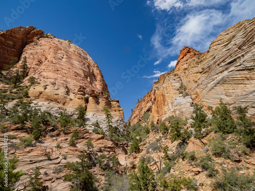 Sunny view of some landscape in Zion Ntaional Park