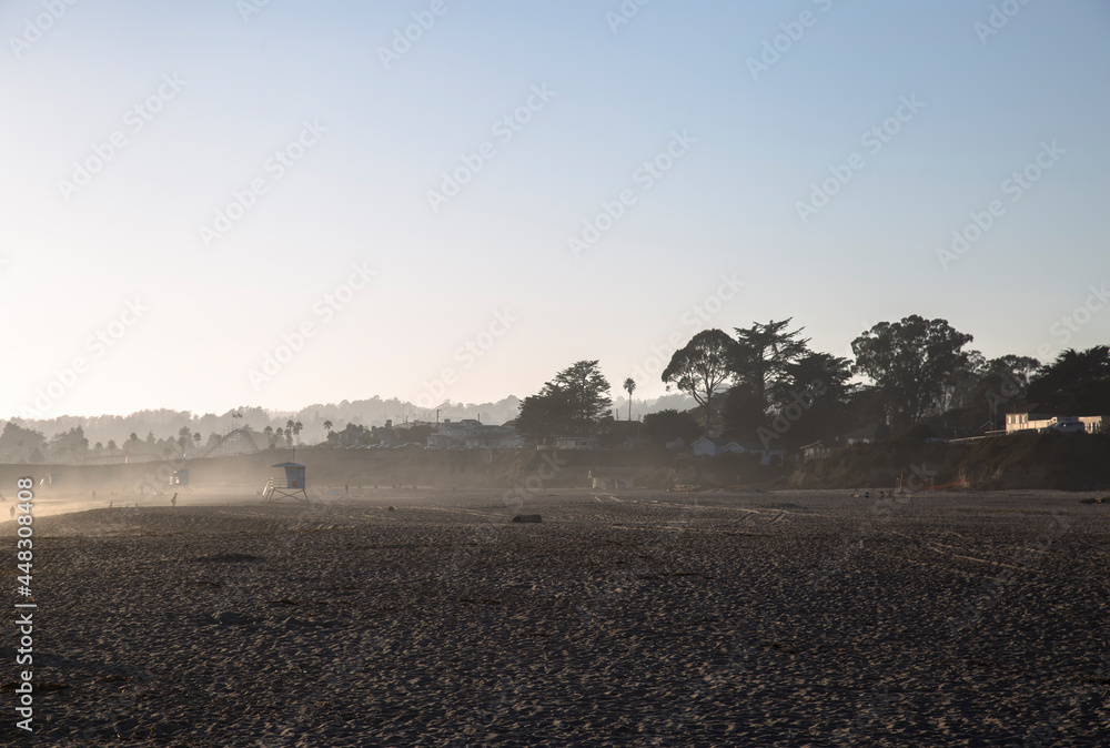 Fototapeta premium Windy beach in California 