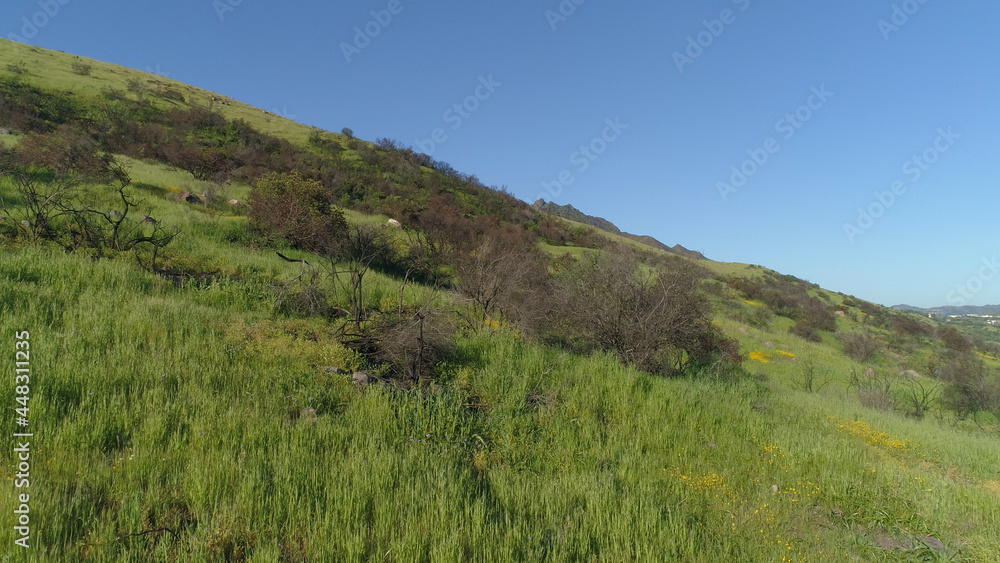 Green flowery Field Blue Sky Malibu, Santa Monica Mountains, Agoura Hills, Calabasis Aerial