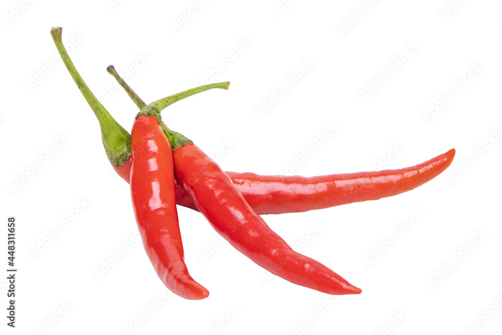Close up whole and chili spicy color. It is a food ingredient in Thailand. One chili hot pepper clipping path. Fresh pepper. popular in Thailand. isolated on white background.