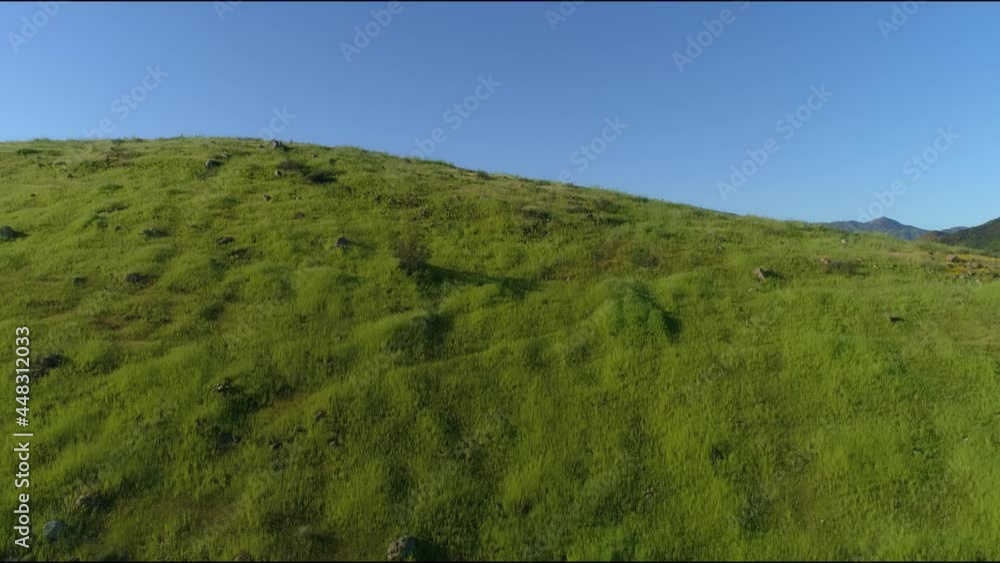 Green flowery Field Blue Sky Malibu, Santa Monica Mountains, Agoura Hills, Calabasis Aerial
Green flowery Field Blue Sky Malibu, Santa Monica Mountains, Agoura Hills, Calabasis Aerial