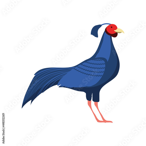 siamese fireback bird