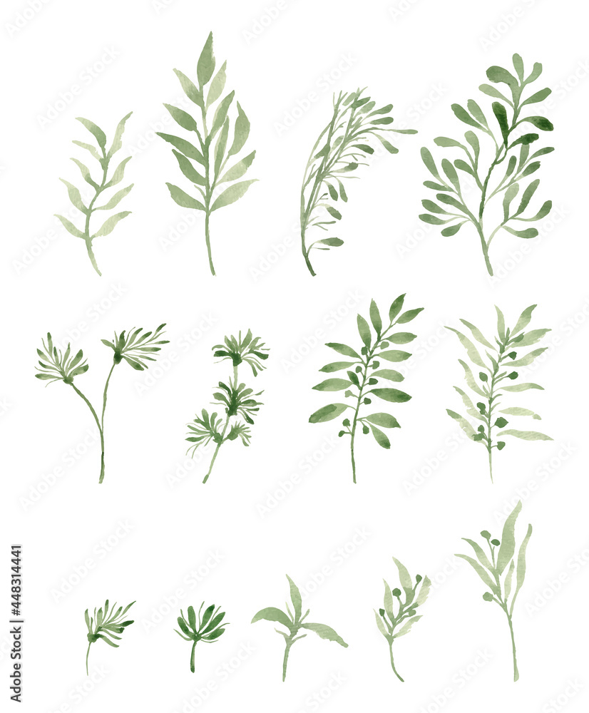 Fototapeta premium watercolor leaves separated vector set