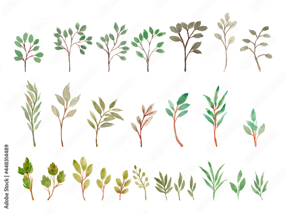 watercolor leaves separated vector set