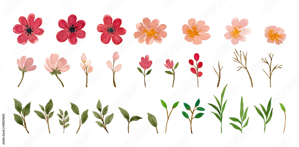 Watercolor flower isolated element