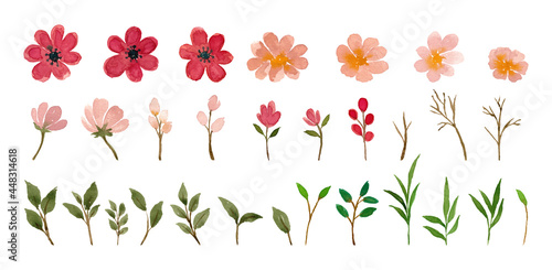 Watercolor flower isolated element