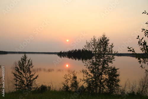 View From The Trees, Elk Island National Park, Alberta