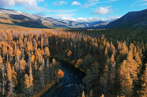 autumn forest taiga view from drone, yellow trees landscape nature fall © kichigin19