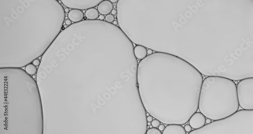 Abstract oil droplets create bubble and pattern on grey background.