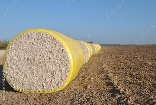 Cotton harvesting time. Round bales of harvested cotton wrapped in yellow plastic photo