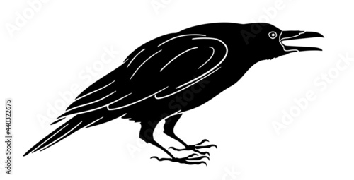 Hand-drawn raven with open beak