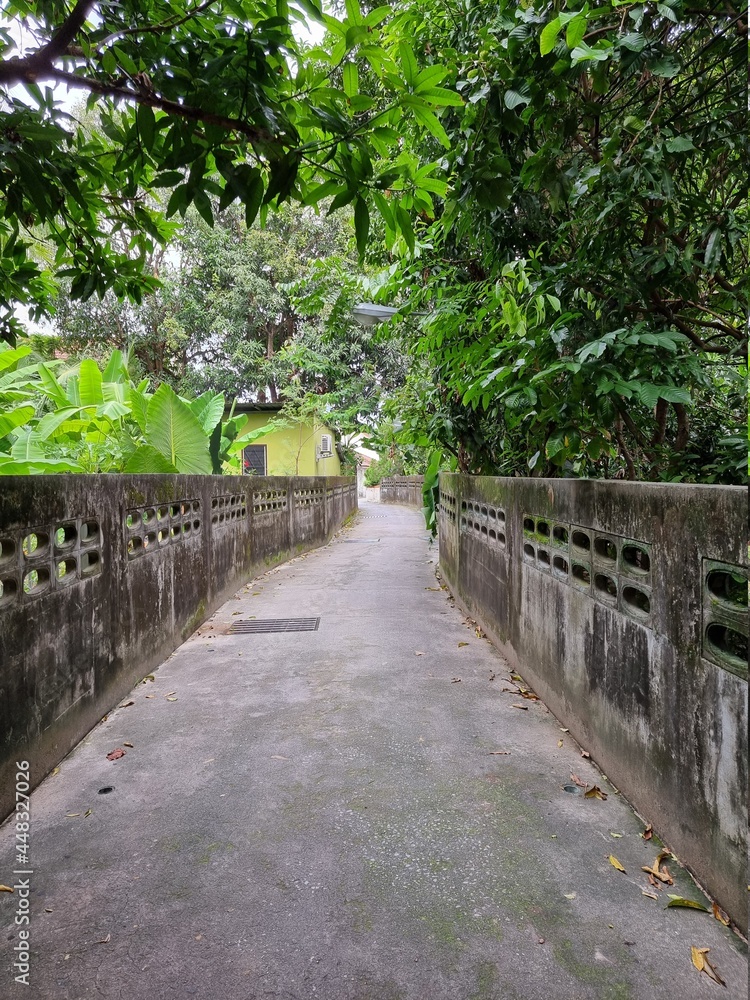 Fototapeta premium path in the park