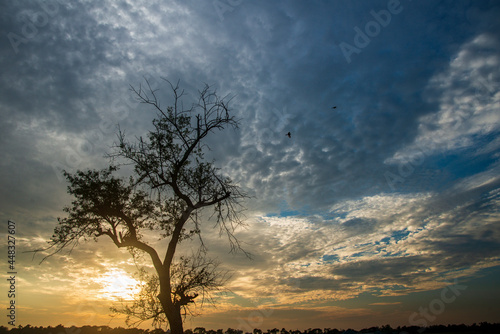 Sunset © Nazrul Islam