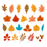 Set of autumn colorful leaves. Foliage of oak, maple, mountain ash, beech, elm, birch, chestnut, aspen or linden, willow, red cranberry or lingonberry. Flat vector illustration. 