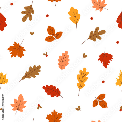Seamless pattern of autumn leaves and berries of lingonberry. Colorful multicolored oak and maple foliage on a white background. Vector illustration. 