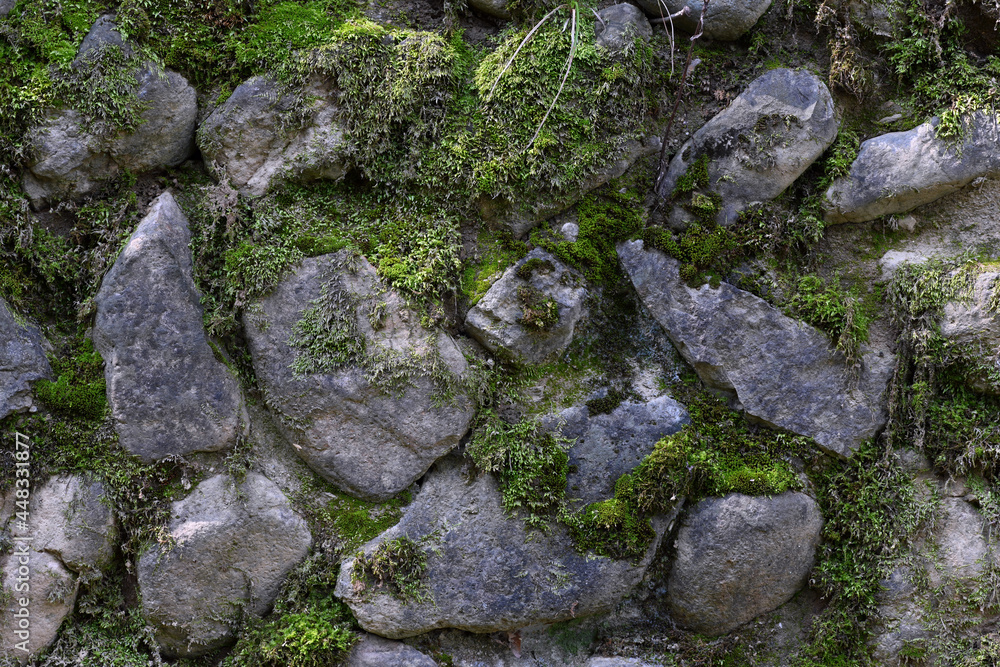 mossy stone wall