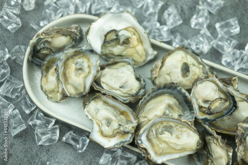 Fresh raw half-shell oyster on long plate