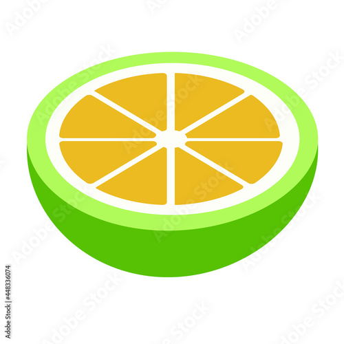 half of tangerine orange fruit vector