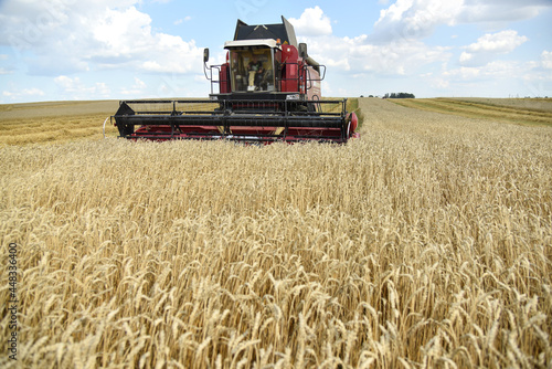 The combine harvester works in the field, the summer grain harvest.